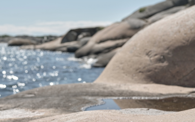 Tack Stiftelsen till Inger och Birgit Hulténs minne!